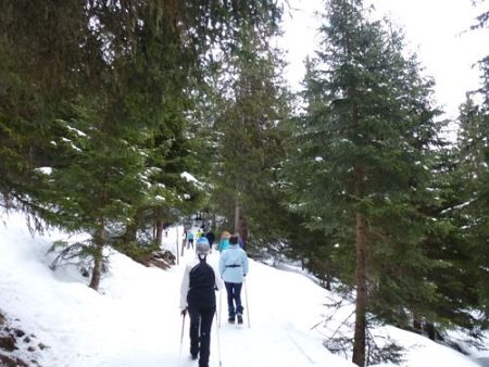 Swiss Snow Walk & Run Arosa 2014