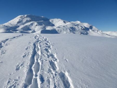 Swiss Snow Walk & Run Arosa 2014