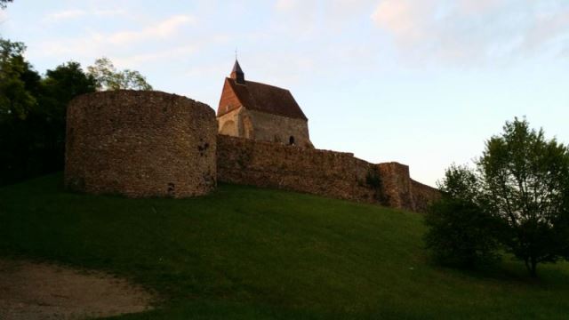 The Trail Yonne 2014