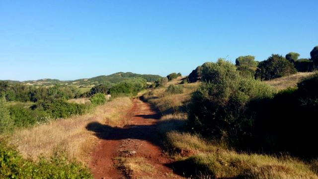 Trail Menorca Cami de Cavalls 2014