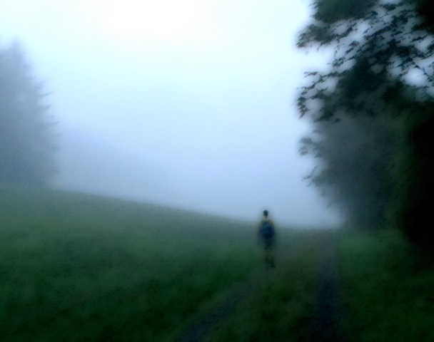 Unterfränkischer Orientierungsultralauf vom 02.08 - 03.08.2014