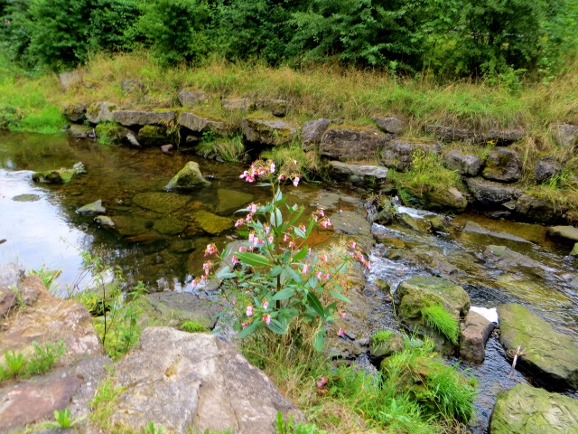 Unterfränkischer Orientierungsultralauf vom 02.08 - 03.08.2014