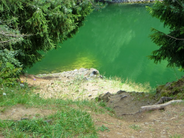 Unterfränkischer Orientierungsultralauf vom 02.08 - 03.08.2014