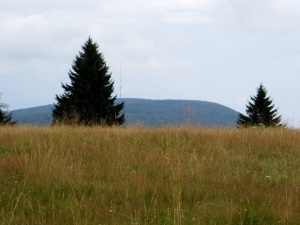 Unterfränkischer Orientierungsultralauf vom 02.08 - 03.08.2014