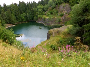 Unterfränkischer Orientierungsultralauf vom 02.08 - 03.08.2014