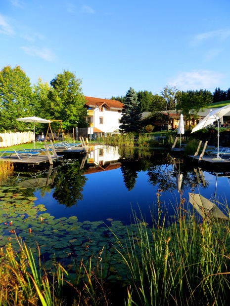 Joggingtour am 18.09.2014 im Bayerischen Wald von Unterried über Mais nach Frath