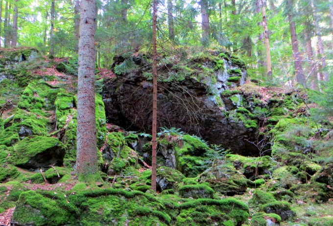 Joggingtour am 18.09.2014 im Bayerischen Wald von Unterried über Mais nach Frath