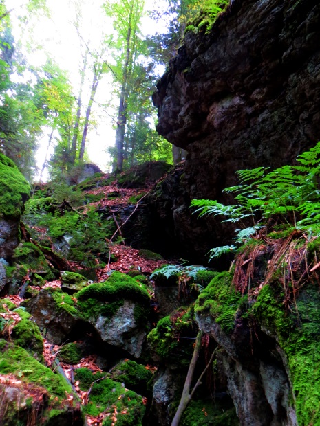 Joggingtour am 18.09.2014 im Bayerischen Wald von Unterried ber Mais nach Frath