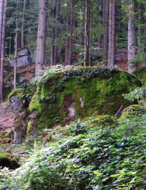 Joggingtour am 18.09.2014 im Bayerischen Wald von Unterried über Mais nach Frath