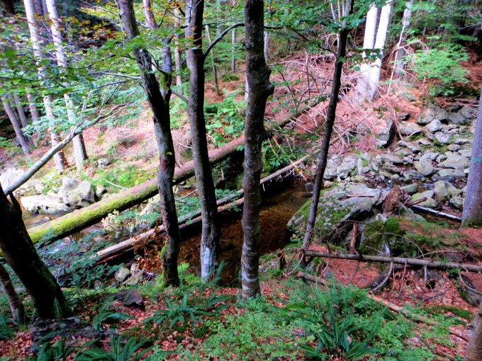 Joggingtour am 18.09.2014 im Bayerischen Wald von Bodenmais zum Arber