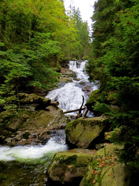 Joggingtour am 18.09.2014 im Bayerischen Wald von Bodenmais zum Arber