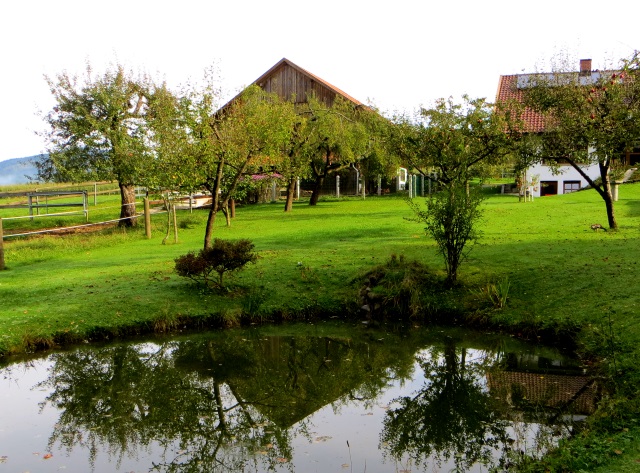 Joggingtour am 18.09.2014 im Bayerischen Wald von Unterried ber Mais nach Frath