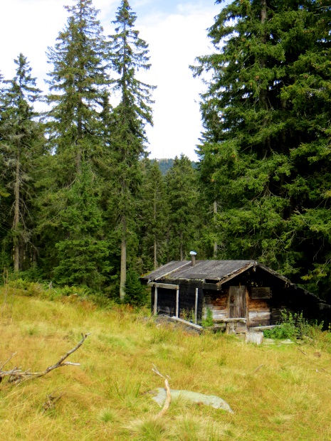 Joggingtour am 18.09.2014 im Bayerischen Wald von Bodenmais zum Arber