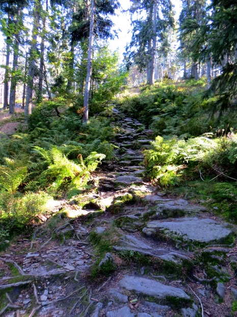 Joggingtour am 18.09.2014 im Bayerischen Wald von Bodenmais zum Arber