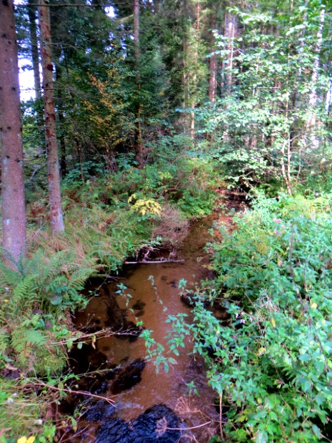 Joggingtour am 18.09.2014 im Bayerischen Wald von Unterried ber Mais nach Frath