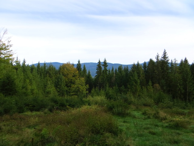 Joggingtour am 18.09.2014 im Bayerischen Wald von Unterried über Mais nach Frath