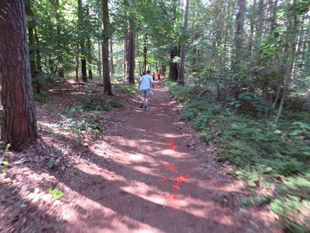 Usedom Marathon