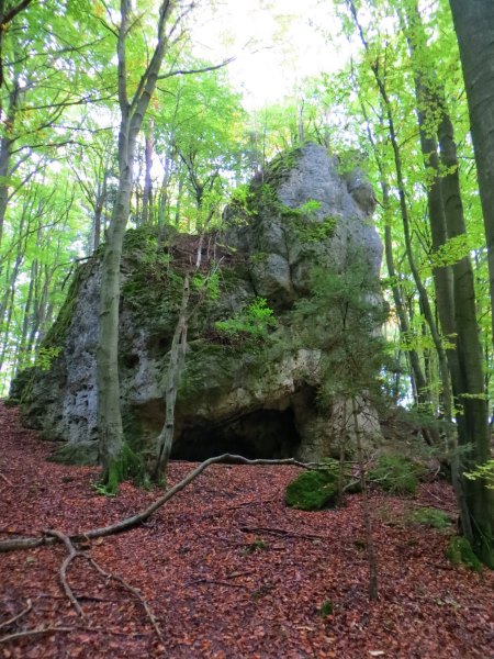 Joggingtour bei Allersdorf, Trgweis und Kirchenbirgik am 10.10.2015