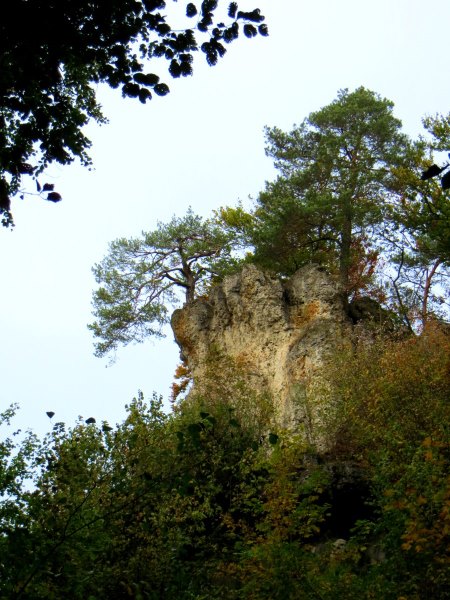 Joggingtour bei Allersdorf, Trgweis und Kirchenbirgik am 10.10.2015