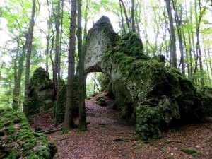 Joggingtour bei Allersdorf, Trägweis und Kirchenbirgik am 10.10.2015