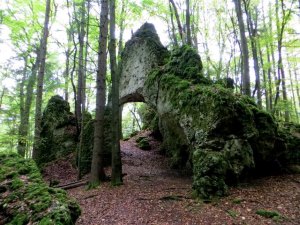 Joggingtour bei Allersdorf, Trgweis und Kirchenbirgik am 10.10.2015