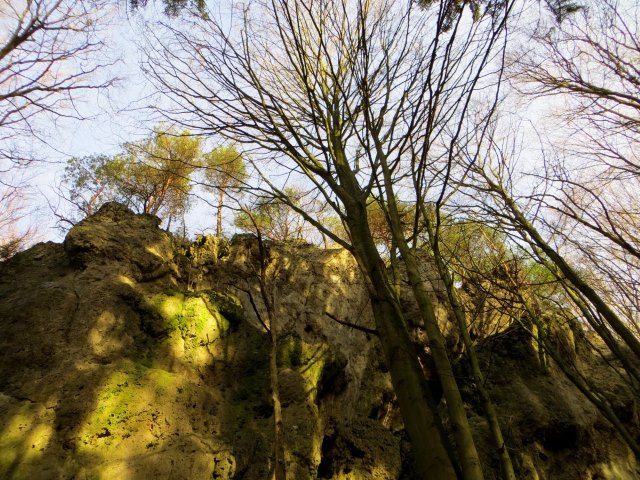 Joggingtour bei den Felsen zwischen Kleingesee und Allersdorf am 27.12.2015