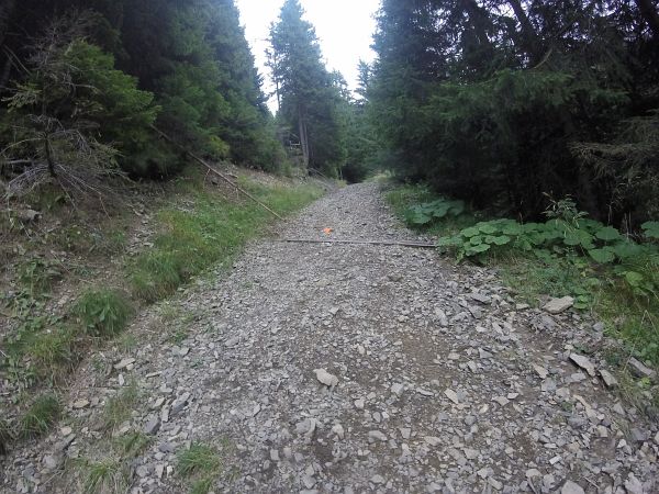 Allgu Panorama Marathon 2015