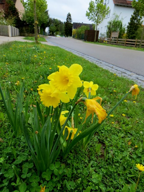 Altmühltrail 2015