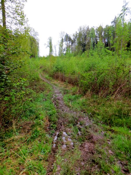 Altmühltrail 2015