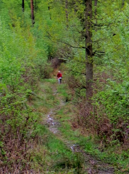 Altmühltrail 2015