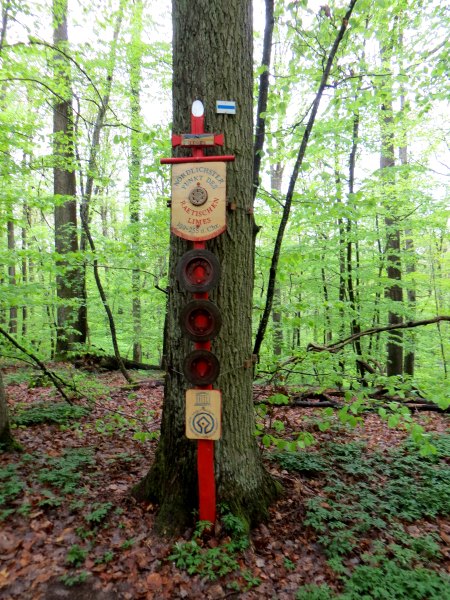 Altmühltrail 2015
