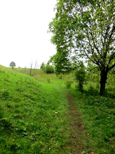 Altmühltrail 2015