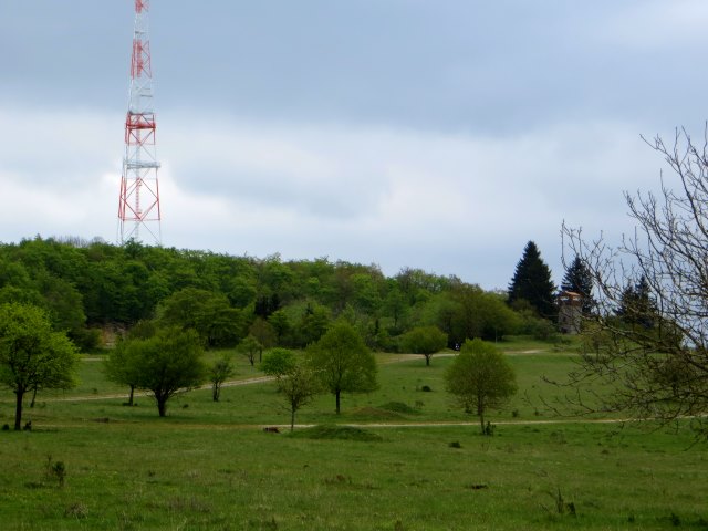 Altmühltrail 2015
