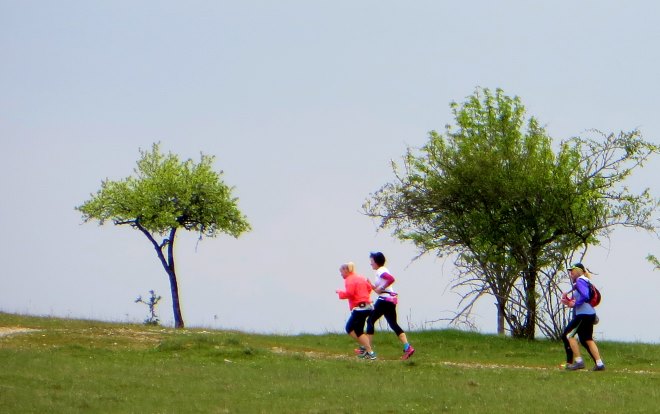 Altmühltrail 2015