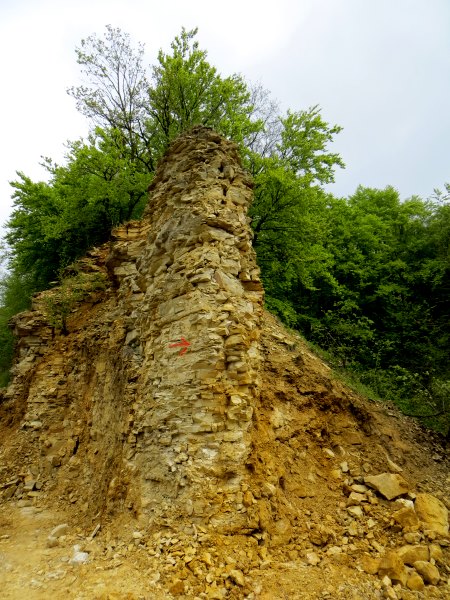 Altmühltrail 2015