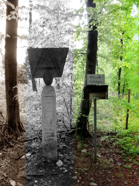 Altmühltrail 2015