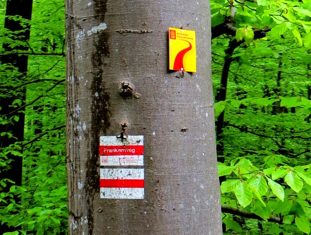 Altmühltrail 2015