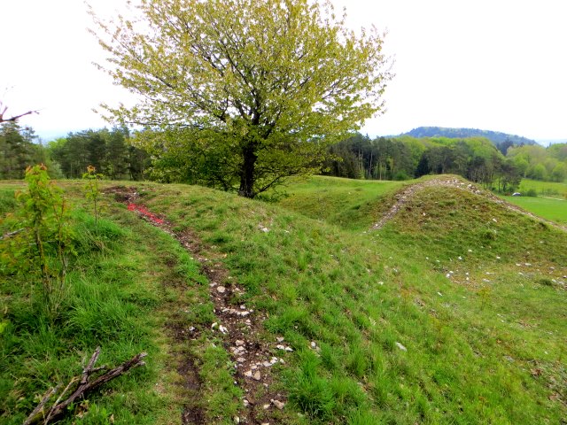 Altmühltrail 2015