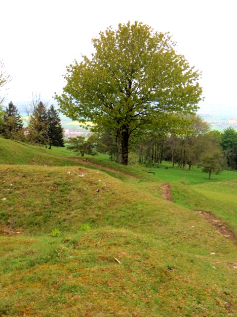 Altmühltrail 2015
