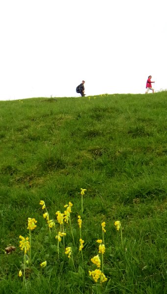Altmühltrail 2015