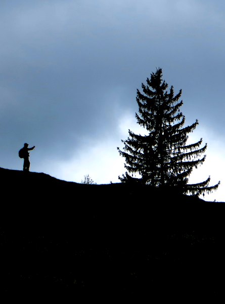 Altmühltrail 2015