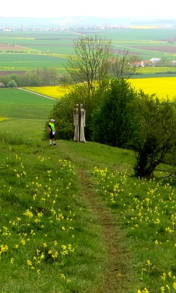 Altmühltrail 2015