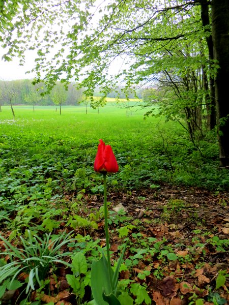 Altmühltrail 2015