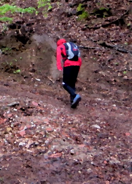 Altmühltrail 2015