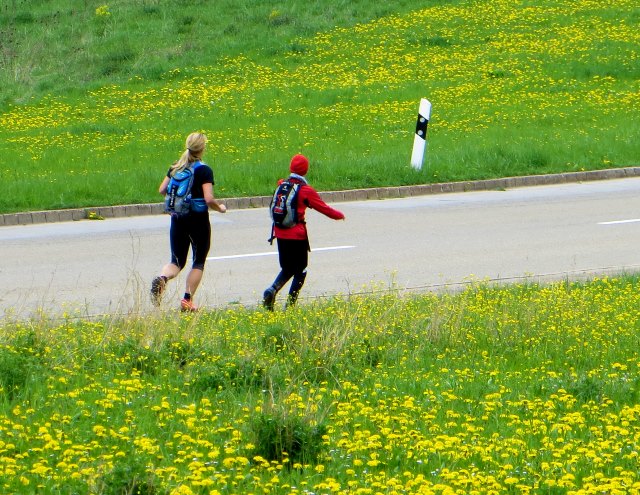 Altmühltrail 2015