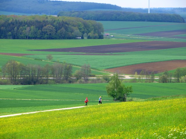 Altmühltrail 2015