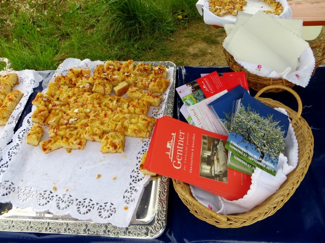 Altmühltrail 2015