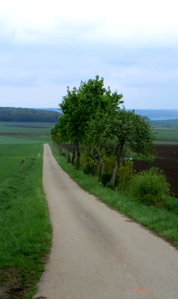 Altmühltrail 2015