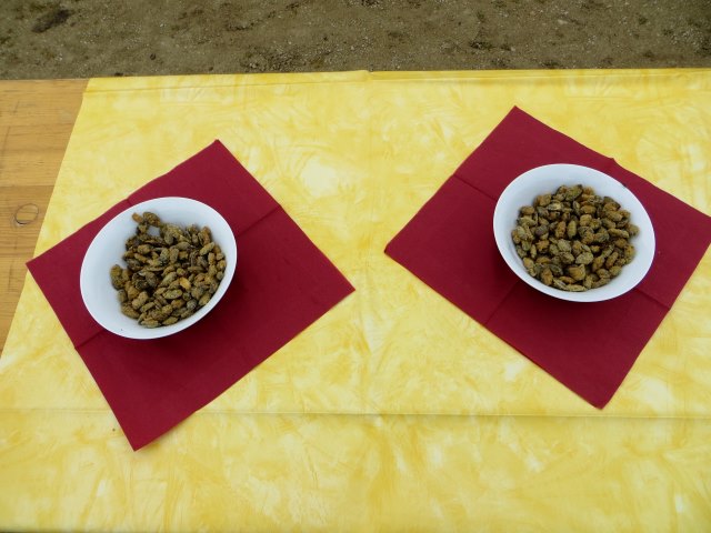 Altmühltrail 2015