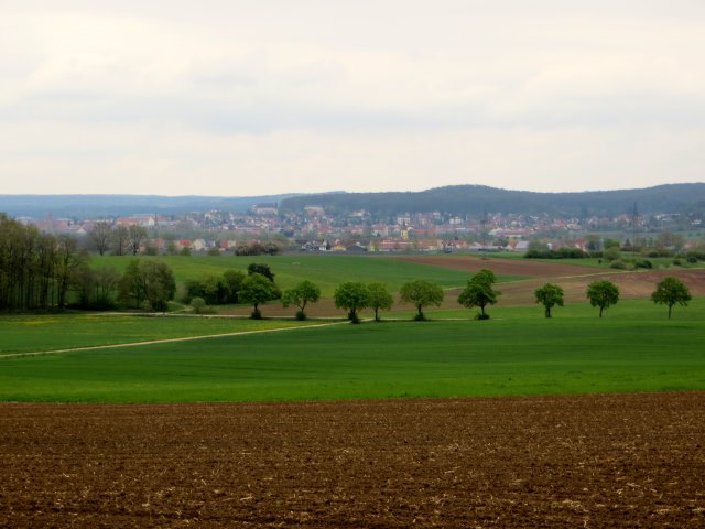 Altmühltrail 2015